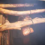 مزرعة للإقامة 