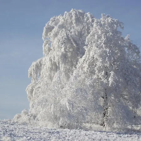 Gospodarstwo agroturystyczne 
